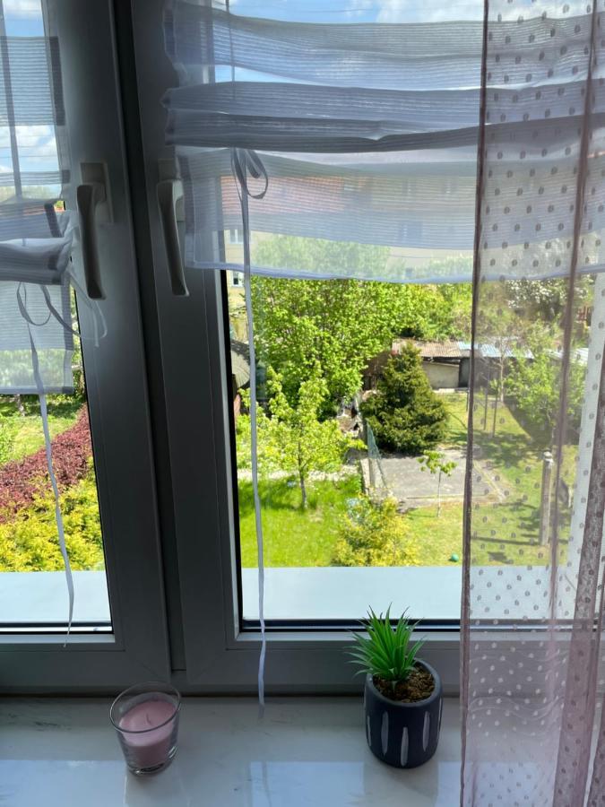 Prestige Apartament Έλμπλαγκ Εξωτερικό φωτογραφία